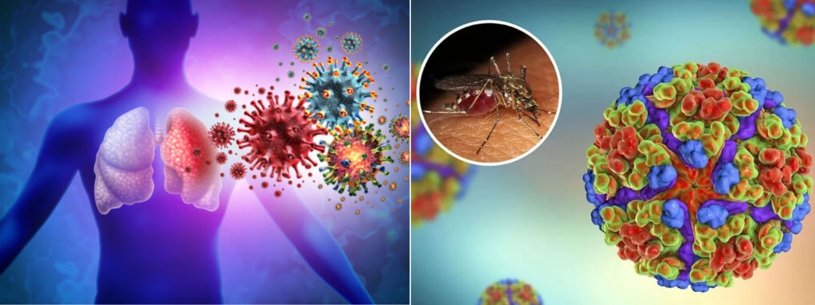 Viral Diseases and Dengue Cases on the Rise